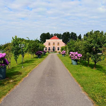B&B Goeree Overflakkee 米德尔哈尼斯 外观 照片